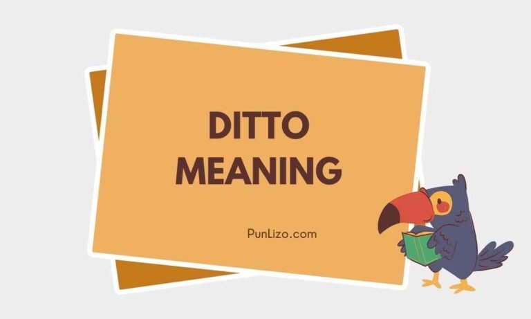 Ditto Meaning