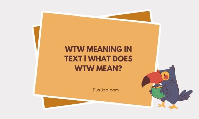WTW Meaning in Text What Does WTW Mean